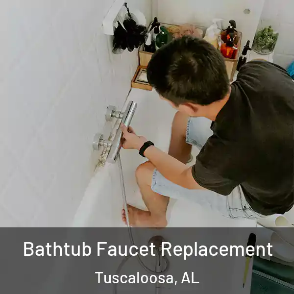  Bathtub Faucet Replacement Tuscaloosa, AL