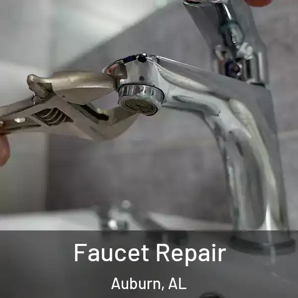  Faucet Repair Auburn, AL