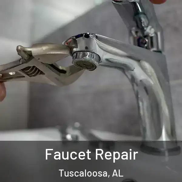  Faucet Repair Tuscaloosa, AL