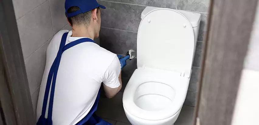Toilet Lid Replacement in Pelham
