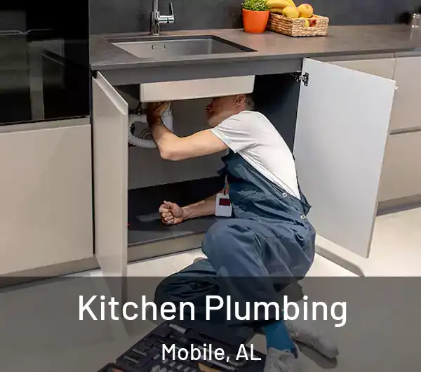  Kitchen Plumbing Mobile, AL