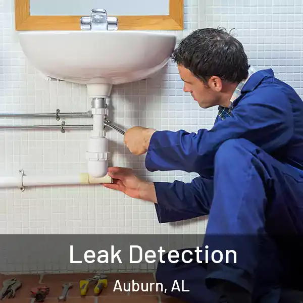  Leak Detection Auburn, AL