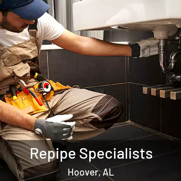  Repipe Specialists Hoover, AL