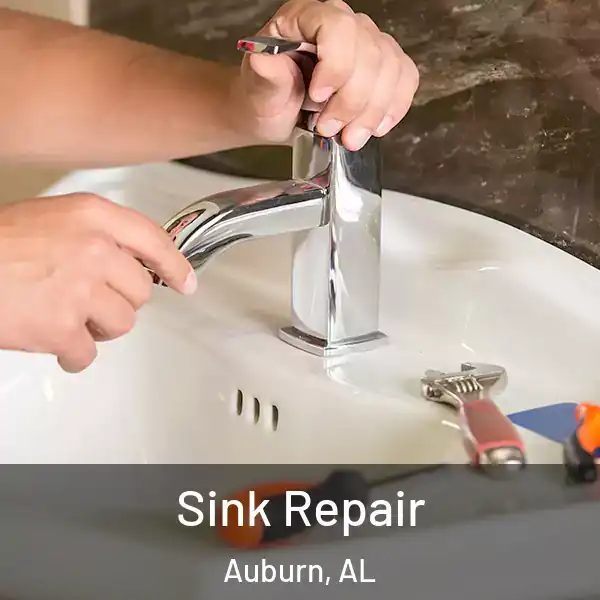  Sink Repair Auburn, AL