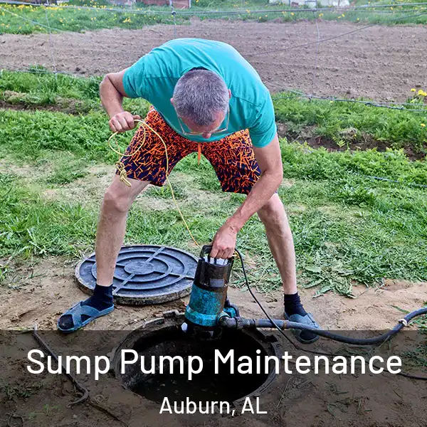  Sump Pump Maintenance Auburn, AL