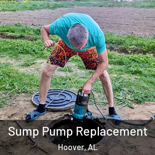  Sump Pump Replacement Hoover, AL