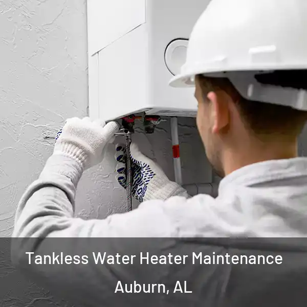  Tankless Water Heater Maintenance Auburn, AL