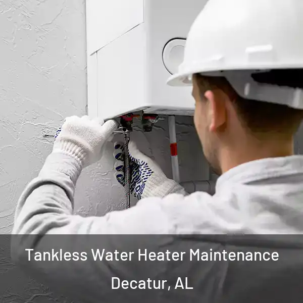  Tankless Water Heater Maintenance Decatur, AL