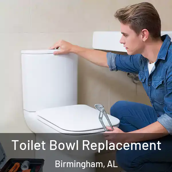  Toilet Bowl Replacement Birmingham, AL