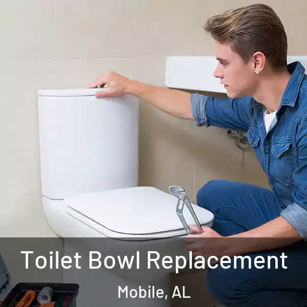  Toilet Bowl Replacement Mobile, AL