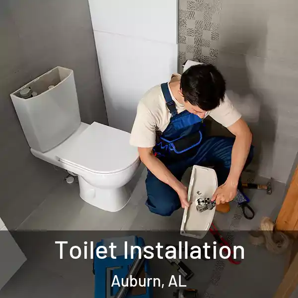  Toilet Installation Auburn, AL