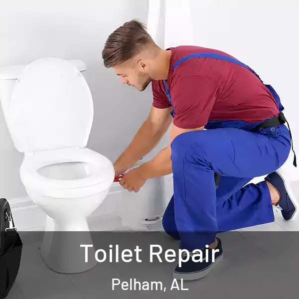  Toilet Repair Pelham, AL