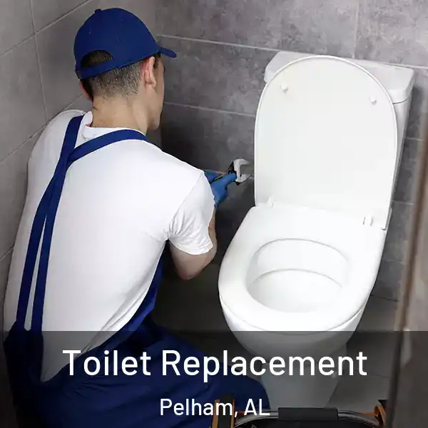  Toilet Replacement Pelham, AL