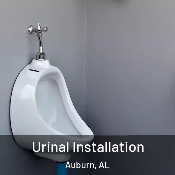  Urinal Installation Auburn, AL
