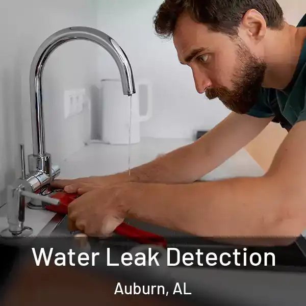  Water Leak Detection Auburn, AL