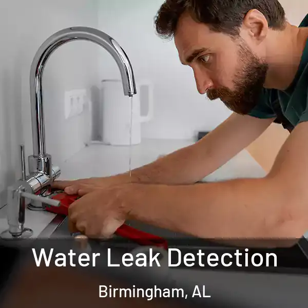  Water Leak Detection Birmingham, AL