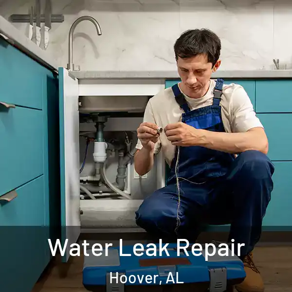  Water Leak Repair Hoover, AL