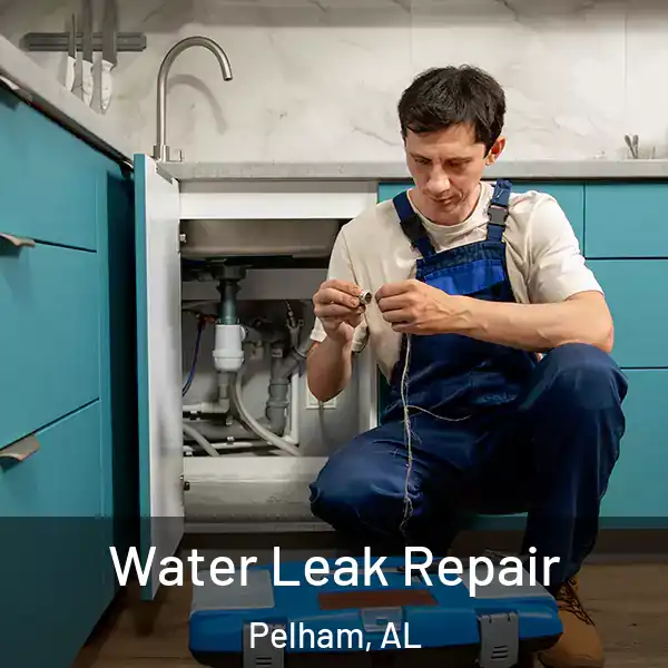  Water Leak Repair Pelham, AL